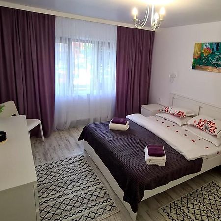La Fluturi Apartament Apartment Suceava Exterior photo